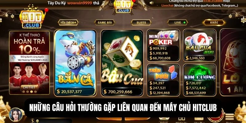 Hitclub máy chủ đặt ở đâu